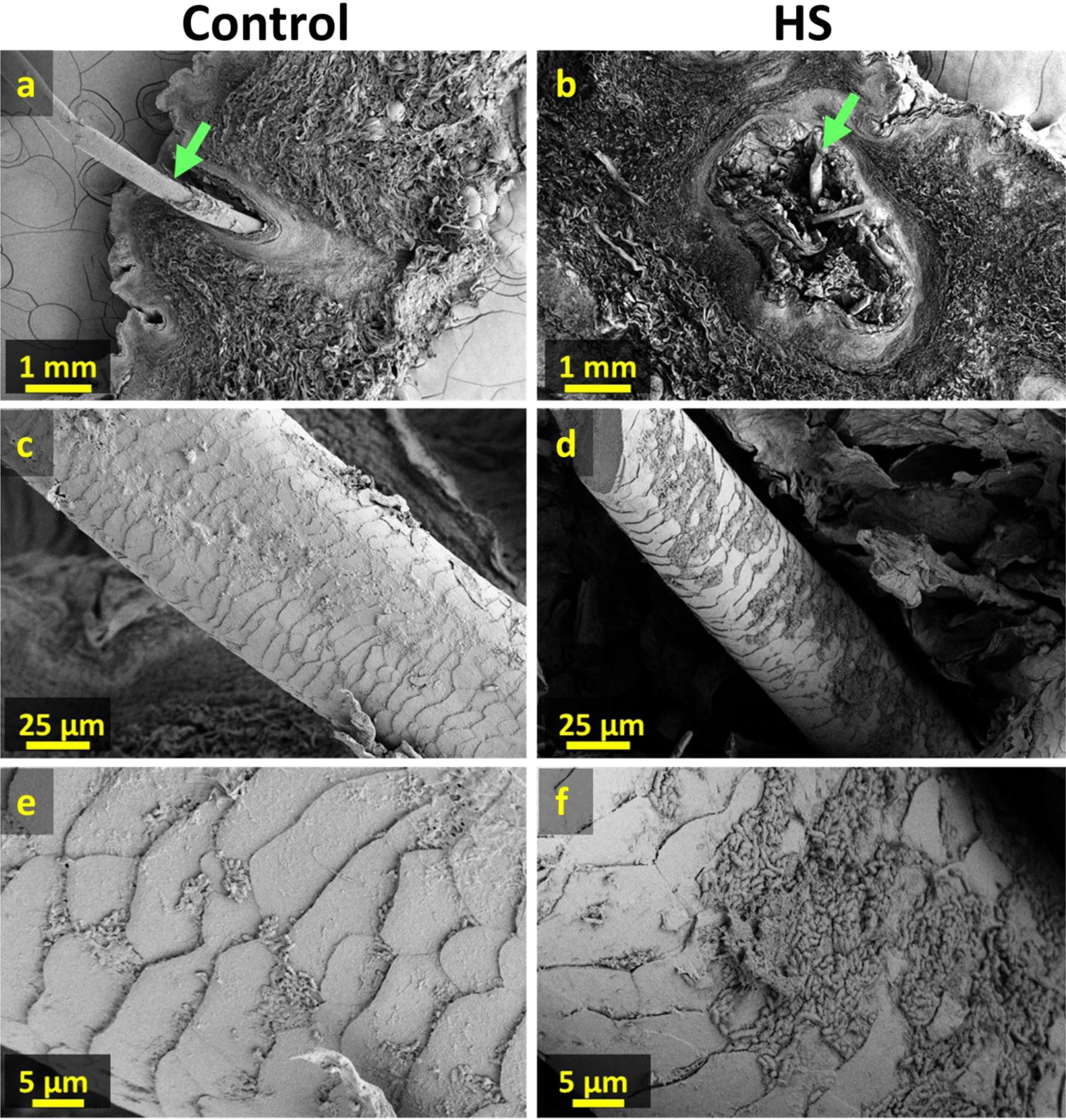 figure4