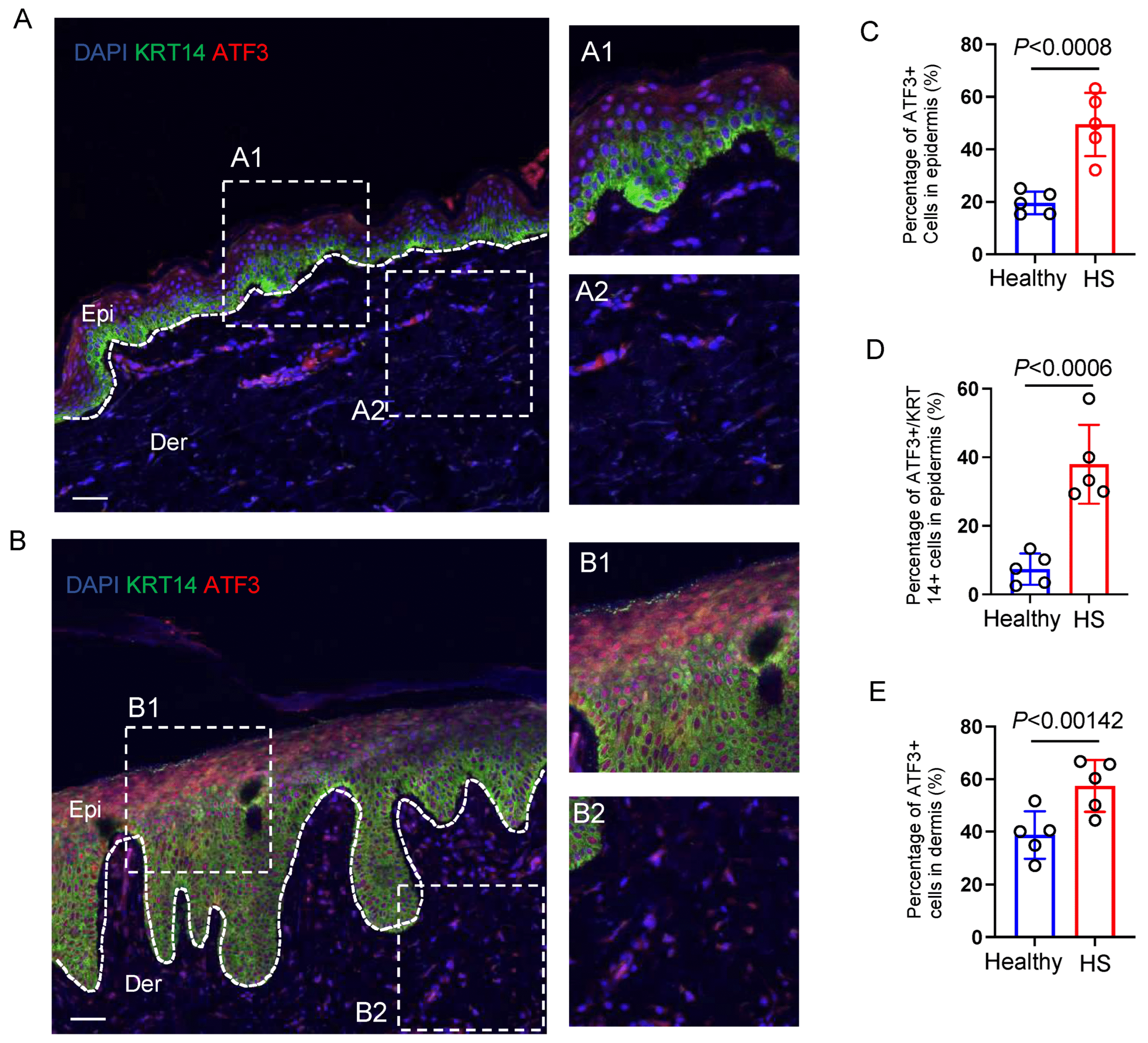 biomedicines 13 01599 g005