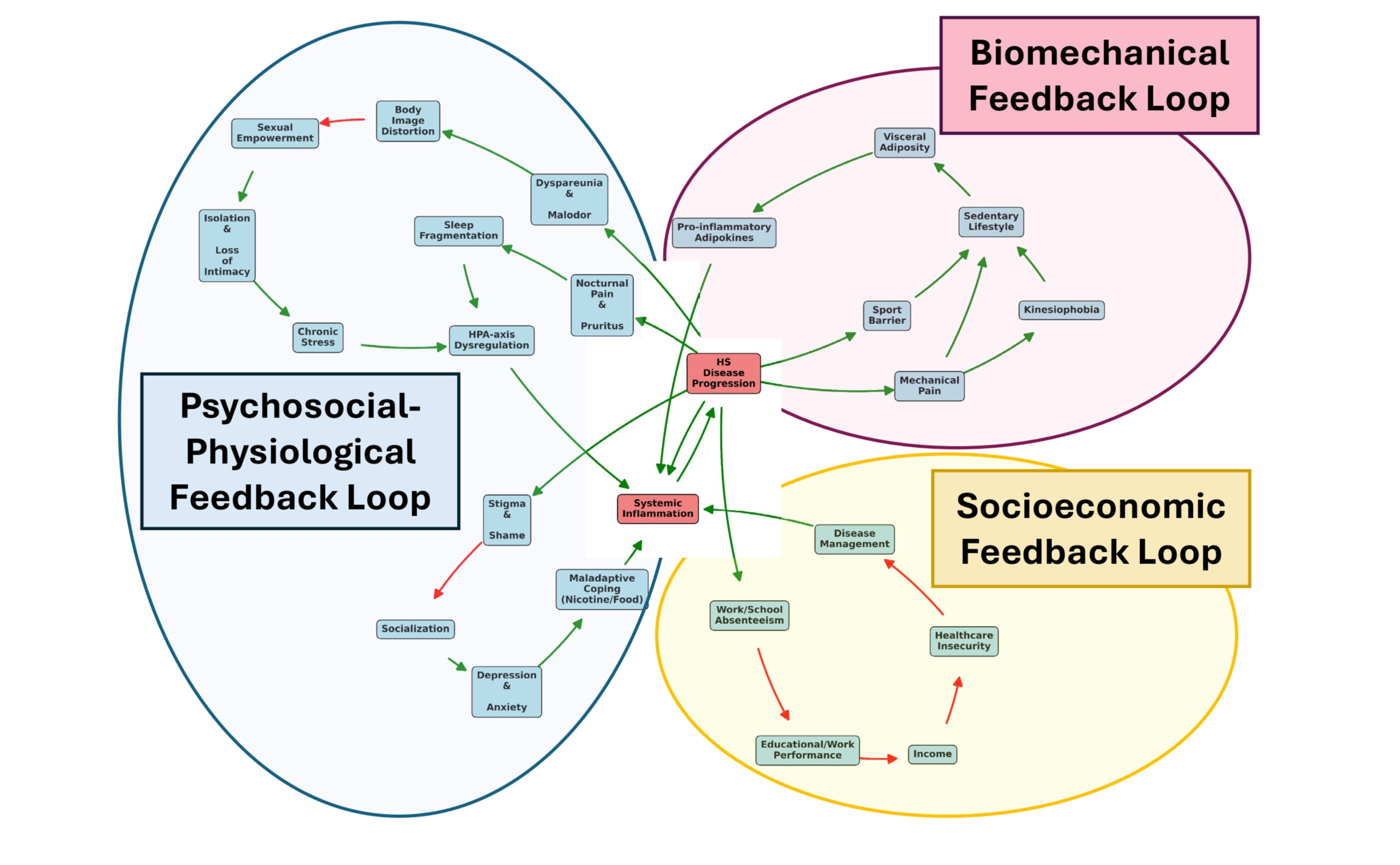HS Arma model graphic abstracta(1)